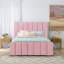Ashelynn Upholstered Platform Bed-844593872-844593887