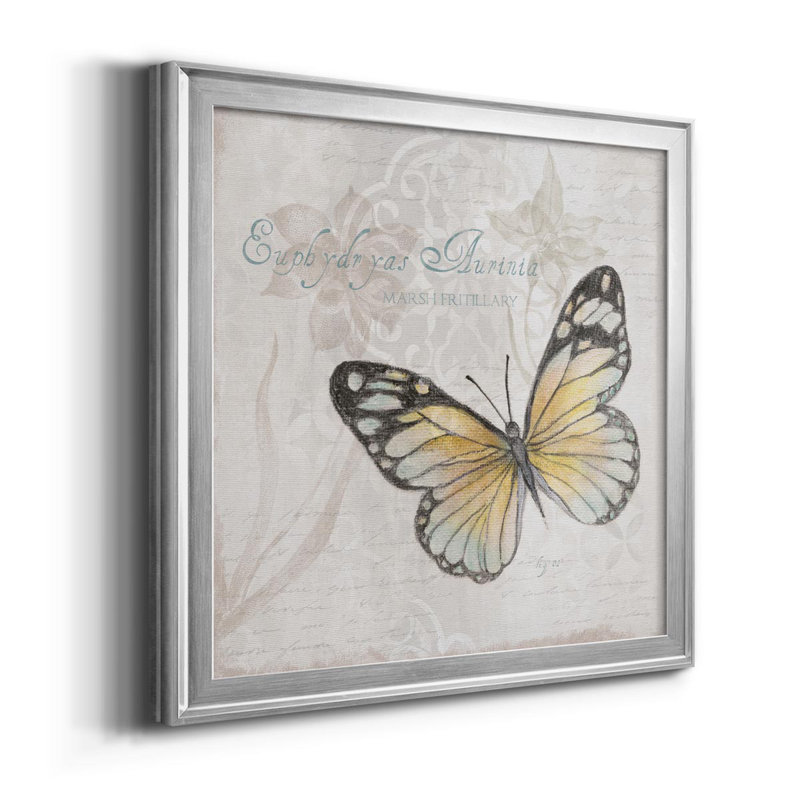 Carte postale papillon II - reproduction d'art sur toile, H 30,5 po x l 30,5 po x P 1,5 po, Argent