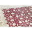 Hand Knotted Oriental Area Rug