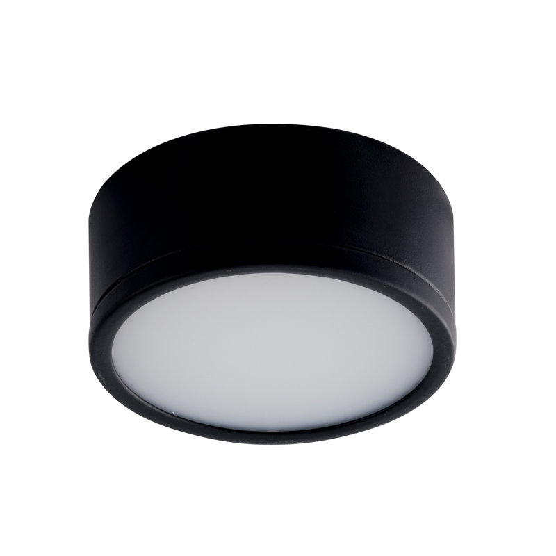 Acrylic LED Flush Mount, Black