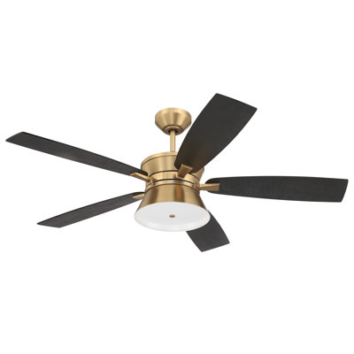 Ventilateur de plafond d'intérieur 52 po Dominick