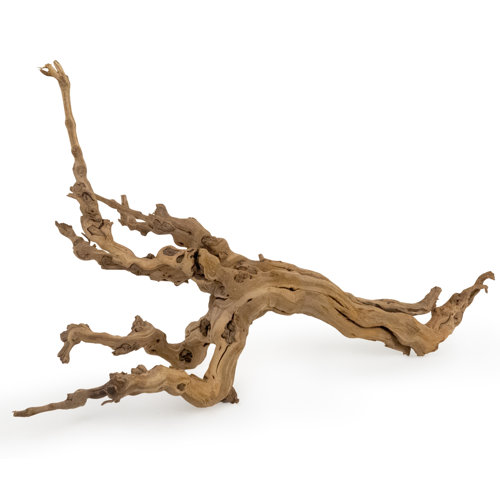 Beachcrest Home Aquilar Landscape & Nature Figurines & Sculptures ...