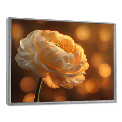 Hour Glow Golden Ranunculus - Renoncule, art mural