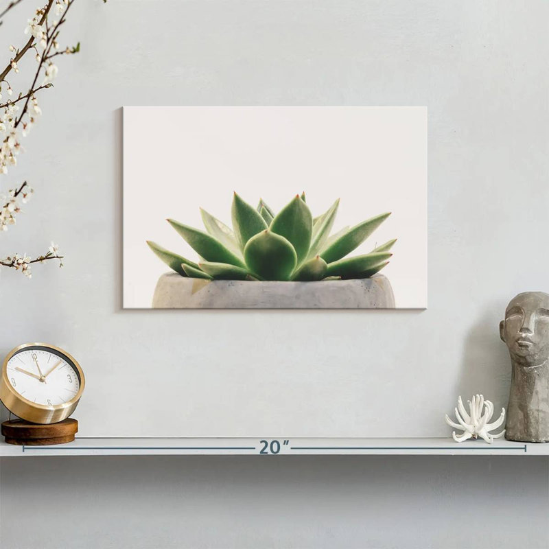 Harnek Stone Pot Succulent, 8" H x 12" W