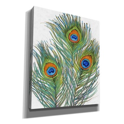 Vivid Peacock Feathers II' By Tim O'toole, Canvas Wall Art, 20""X24 -  Bungalow Rose, 980160F7A9CB4658A2BE7E8AE13E5872