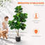 120cm Plant