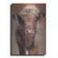 "Angus" par Sam Dolman-101656311