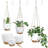 Plant Hangers with Pots and Saucers-2058980082