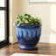 Roselmont Planter-137128713-137128714