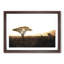 Giraffe in Tanzania - Picture Frame Graphic Art Print-56712904-56712901