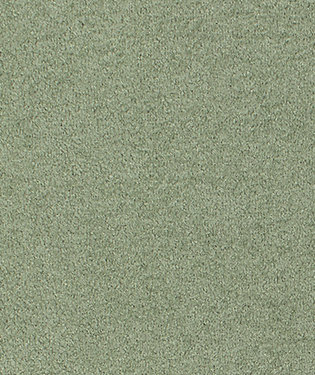 Starlight Fabric