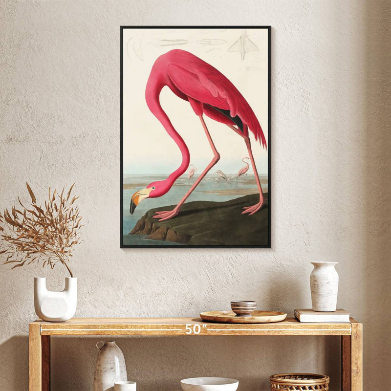 Flamant américain, 25 po x 37 po, Cadre flottant noir