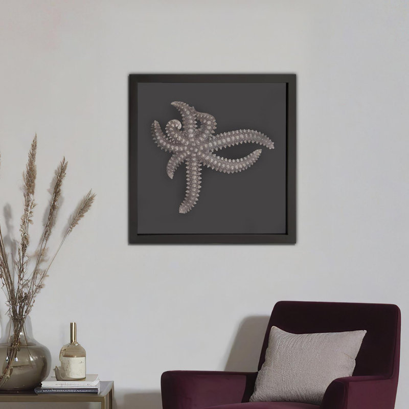 Étoile de mer, art encadré