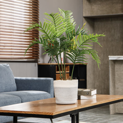 Cavazos 36'' Faux Palm Tree in Wicker/Rattan Planter