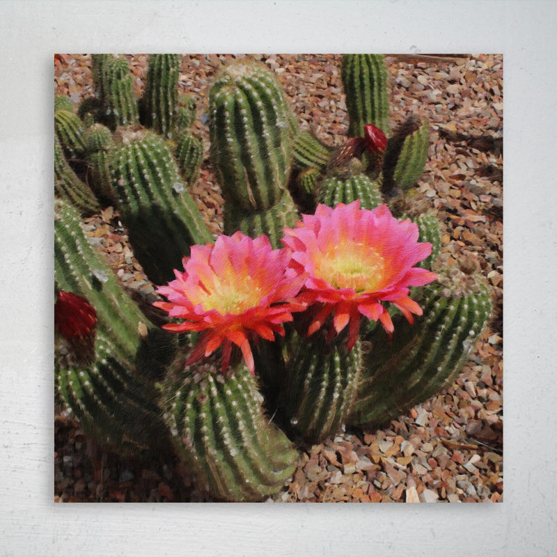 «Pink Flower Cactus» - Impression sur toile tendue carrée 1 pièce