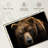 " Far Eastern Brown Bear "-1336083473