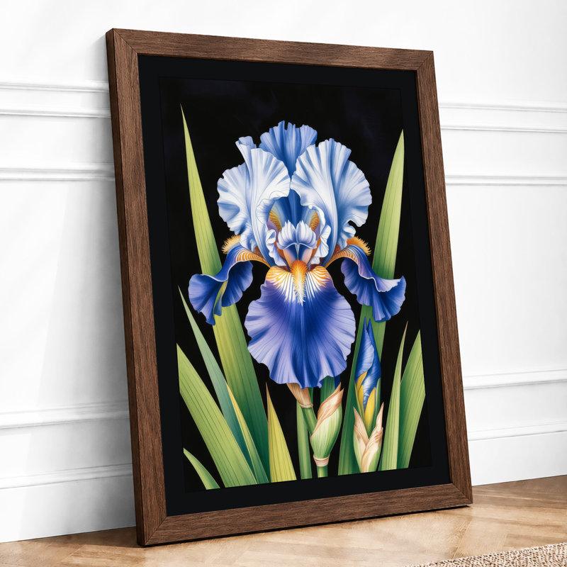 Iris in Blue and Gold Botanical - Framed Print, A3 - 42.0 x 29.7 cm, Walnut