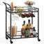 Aarnav Metal Bar Cart-1865292101
