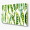 Légumes, art mural blanc Edamame