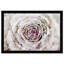 «Winter New York Flower», reproduction d'impression-252315092-252315094