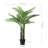 49'' Plant