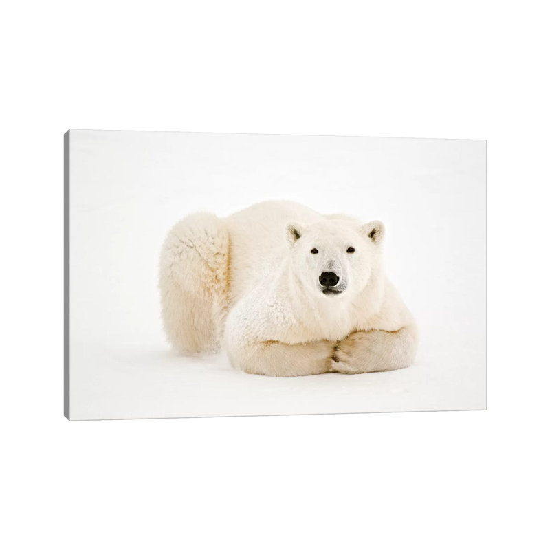 Canada, Manitoba, Churchill by Jaynes Gallery - Wrapped Canvas Print, 20.32 cm H x 30.48 cm W