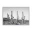 «Grey Cactus Land» par Garima Dhawan, reproduction d'art-113204848-113204852