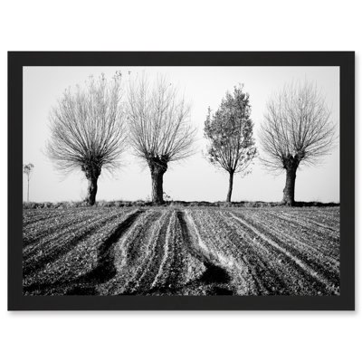 Trees Horizon Winter Field Black White - Single Picture Frame Print