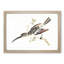 Hummingbird by Johan Teyler - Framed Print-55578800-55578801