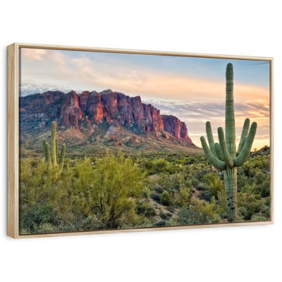 Cacti View II