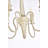 Aurianne Candle Style Traditional Chandelier-1531413678-1531413677