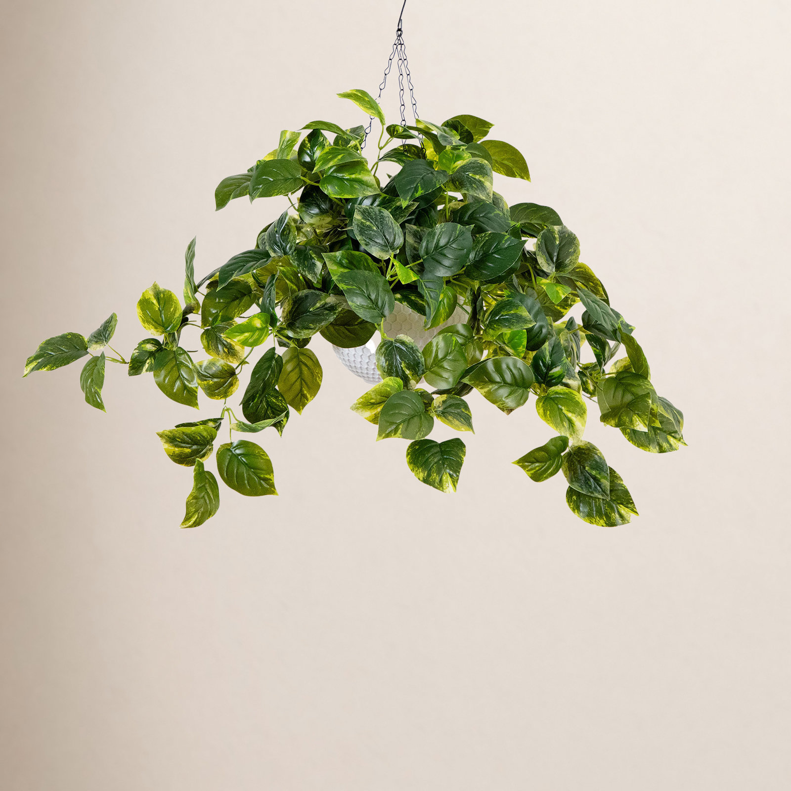 Bromborough 24" Pre-Lit Pothos Plant in Basket