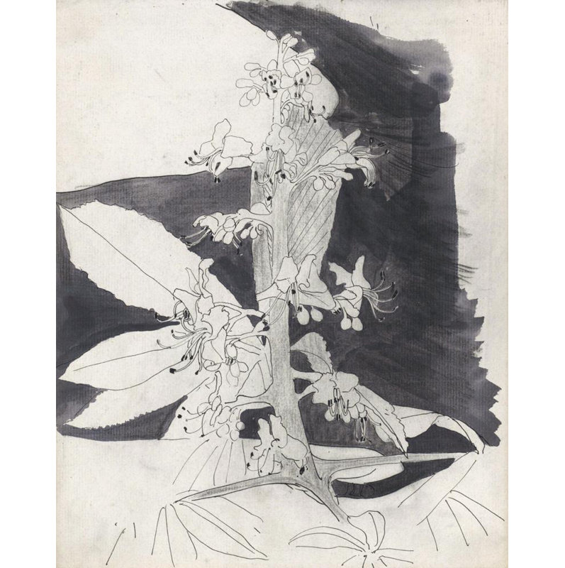 «Plant Study» par Carel Adolph Lion Cachet - Art mural sur toile tendue avec châssis, H 18 po x l 14 po