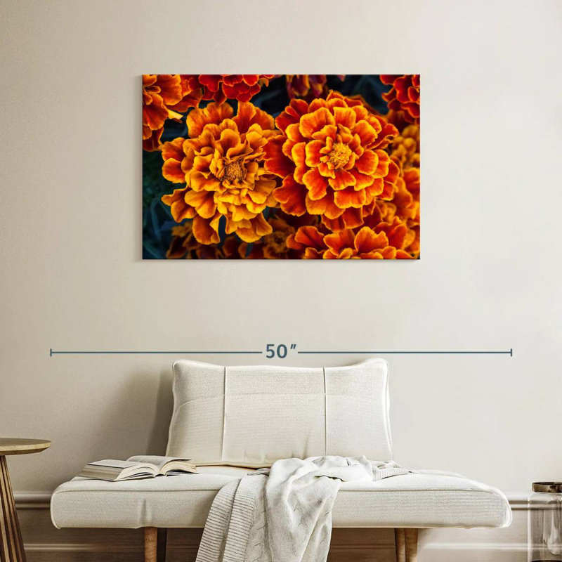 Fleurs de souci Harnek, H 24 po x l 36 po
