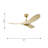 Maverick Smart 44 Indoor Ceiling Fan with Threaded Downrod, blades and Handheld Remote-393360880-393360881