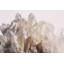 Crystal Dream Print by Alicia Bock-968062423