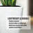 Hymie Pot Planter-1623324680