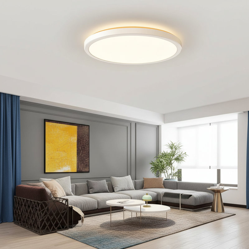 Dimmable 12" Ceiling Light, 24W, Round Acrylic LED Flush Mount