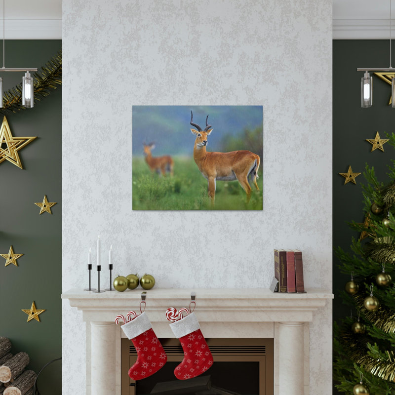 No Frame Print on Canvas, 30.48cm H x 40.64cm W