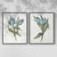 «Blue Tulip Picks I», reproduction encadrée de qualité supérieure - prête à être accrochée - aucun clou requis - aucun clou requis-338982200-338982223