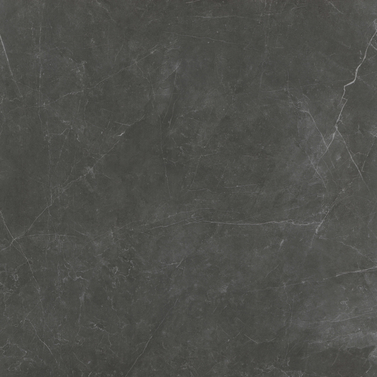 Sterlina II Asphalt 24 in. x 24 in. Matte Porcelain Floor and Wall Tile (15.5 sq. ft./Case), Asphalt 