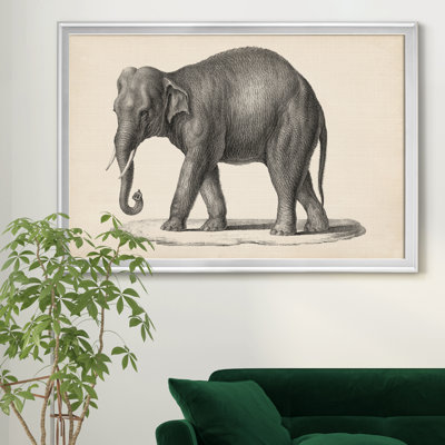 " Brodtmann Elephant " Painting Print
