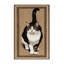  Tapis lavable European Shorthair Cats-1568023274