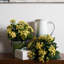 Buisson artificiel Kalanchoe-24826041