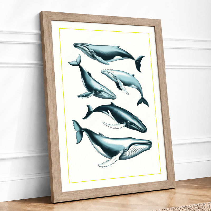Whale Species Study Botanical - Framed Print, A1 - 84.1 x 59.4 cm, Oak