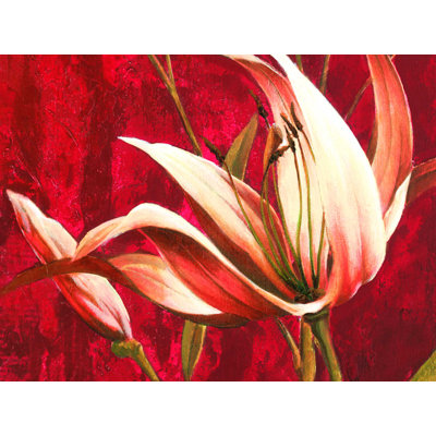 Burgundy Lily 1 - Wrapped Canvas Print
