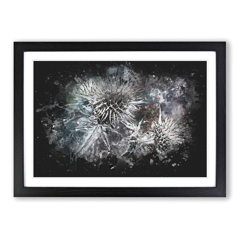 Thistle Flower - Picture Frame Graphic Art Print on MDF, Black Framed, 45cm H x 63cm W x 2cm D