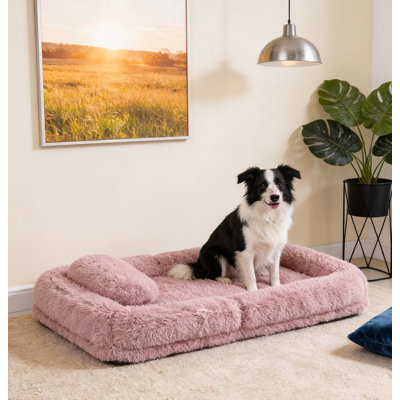 5-Position Adjustable Convertible Dog Bed