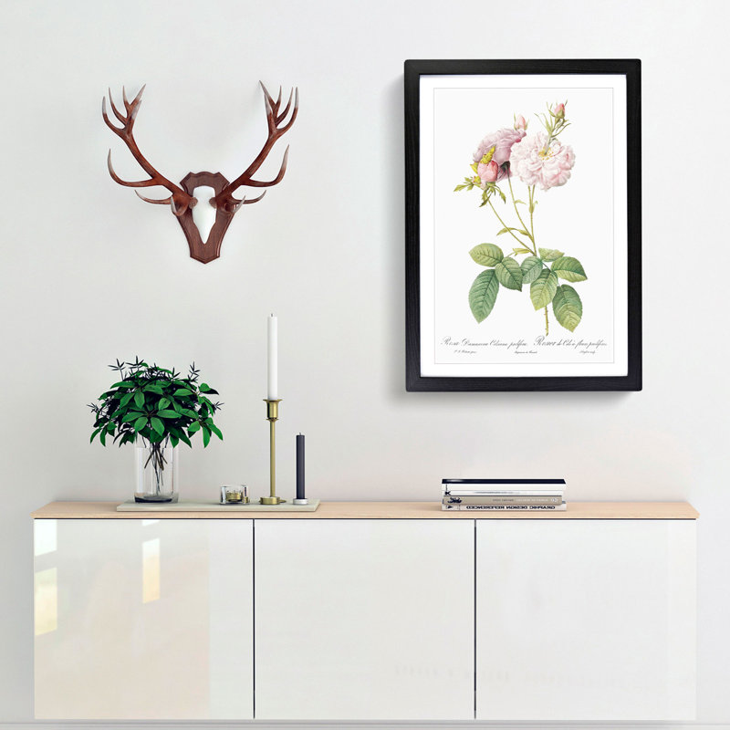 Damask Rose in Pink by Pierre-Joseph Redoute - Picture Frame Painting Print, 65cm H x 48cm W x 2cm D, Black Framed
