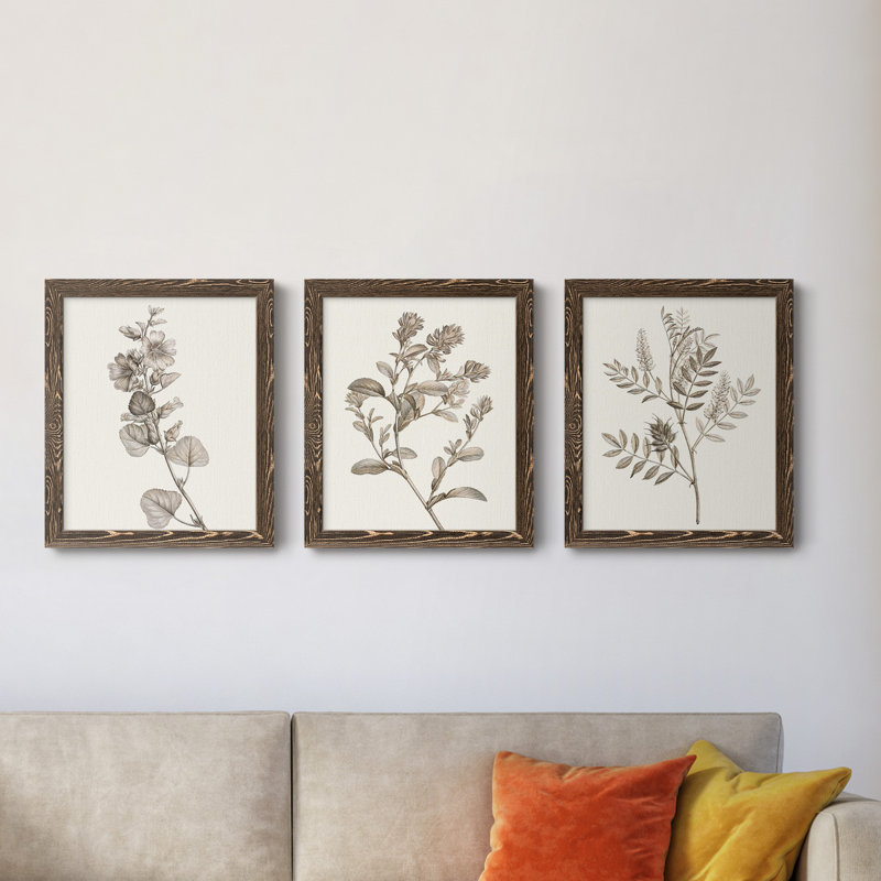 Neutral Botanical Study I - Ensemble de 3 reproductions d'art sur toile, H 24 po x l 36 po x P 1,5 po, Noyer